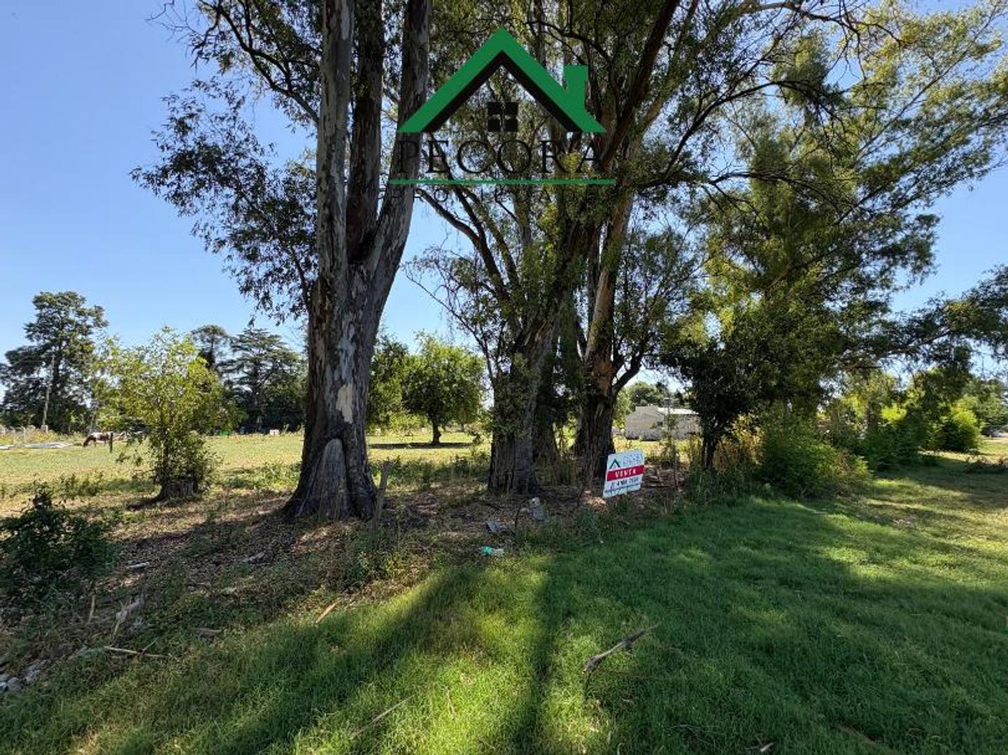 Terrenos - Pilar - Tomas M de Anchorena