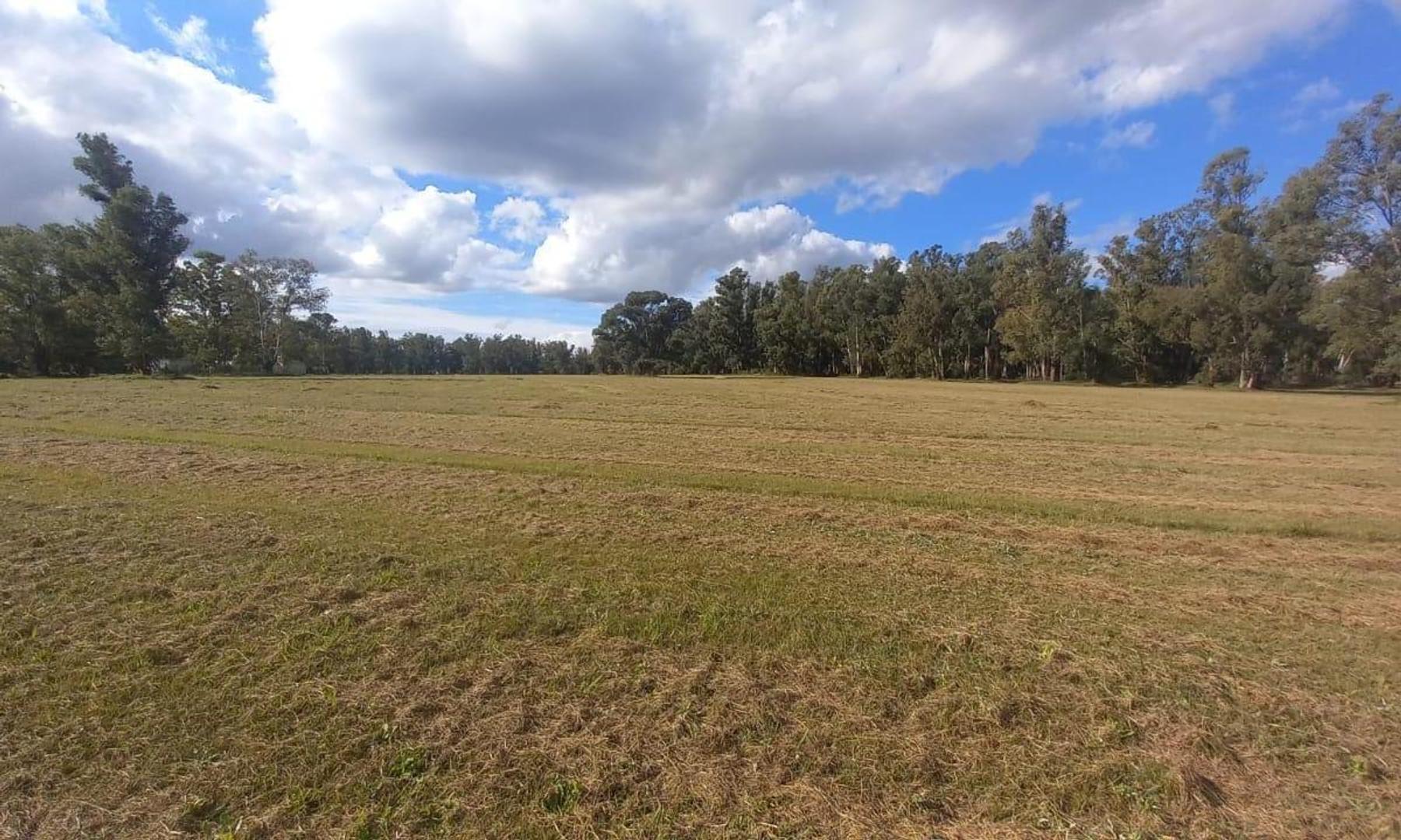 Excelente  Terreno en Venta , Barrio  Quebradas, Villa Rural