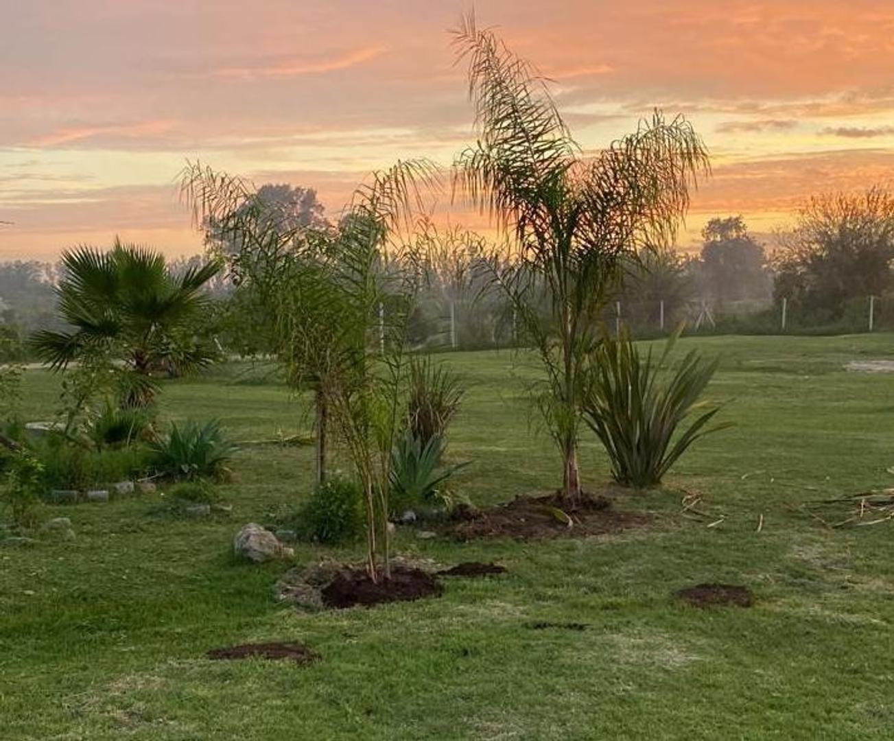 CUATRO LOTES EN ALQUILER EN VILLANUEVA