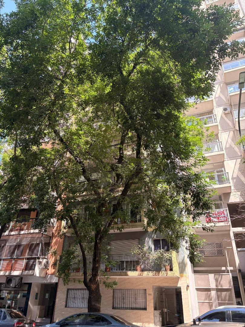 ALQUILER - BELGRANO - 2 AMBIENTES