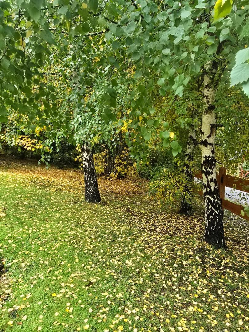 Lote en Pnla manzano