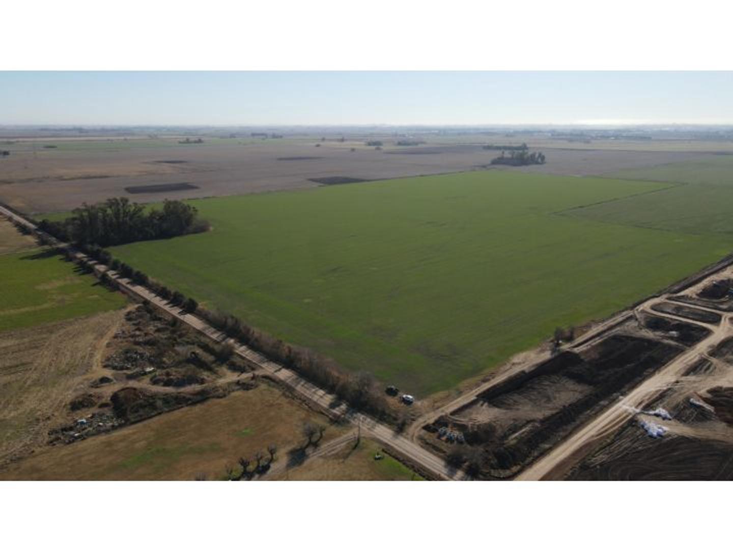 38 has en Ricardone, aptas loteo