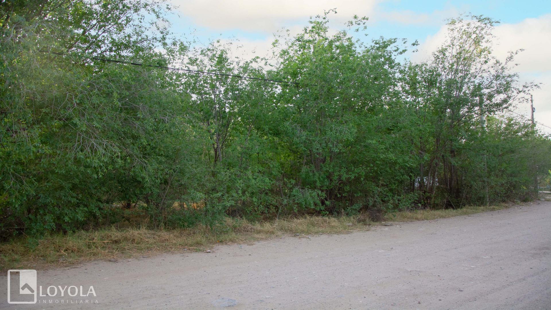 Terreno en Venta en Centro, USD 35.000