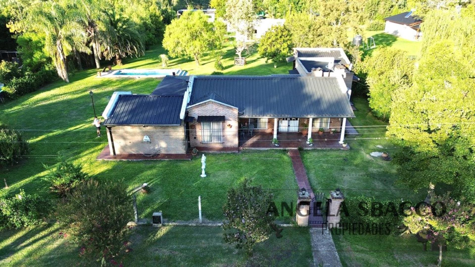Jacaranda, Parque Jularo.