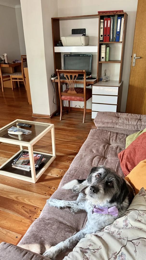 Alquiler Temporal Semipiso 4 Ambientes en Recoleta