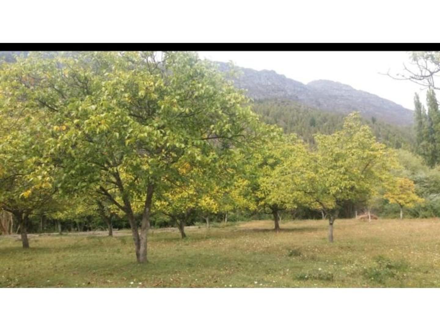 W96W+CQ, Lago Puelo, Chubut Province, Argentina