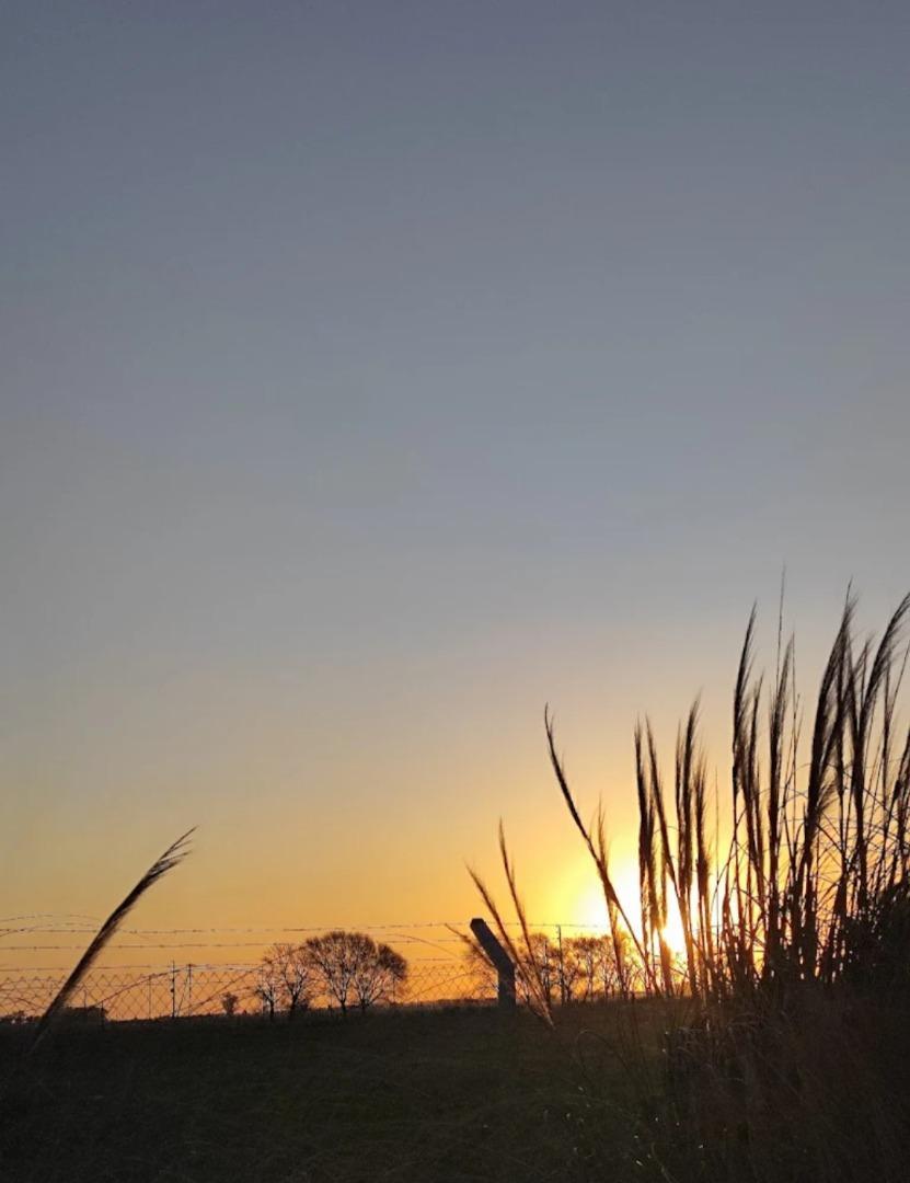 Terreno en Venta de 995,0 m2