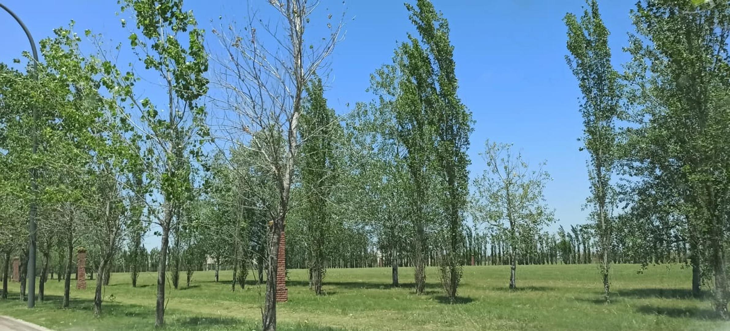 Terreno en Venta en Fisherton, USD 100.000