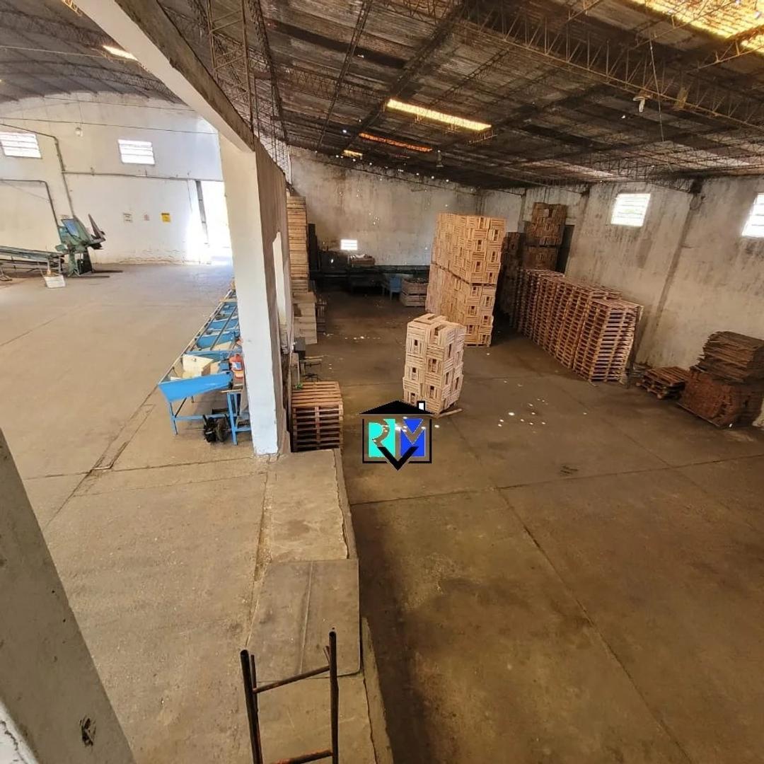 Rafael Obligado  1209