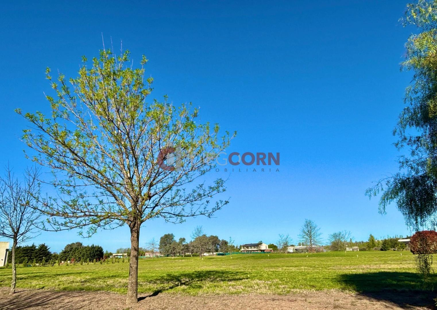 Terreno en Venta en Everlinks Golf & Country Club, USD 50.000