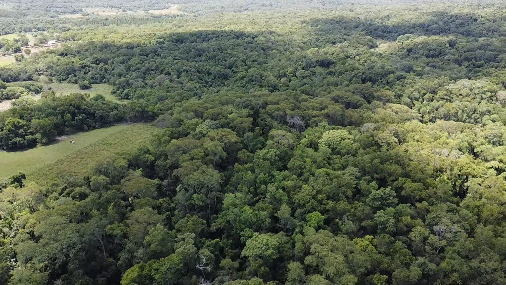 CHACRA EN CERRO CORA 22 HAS