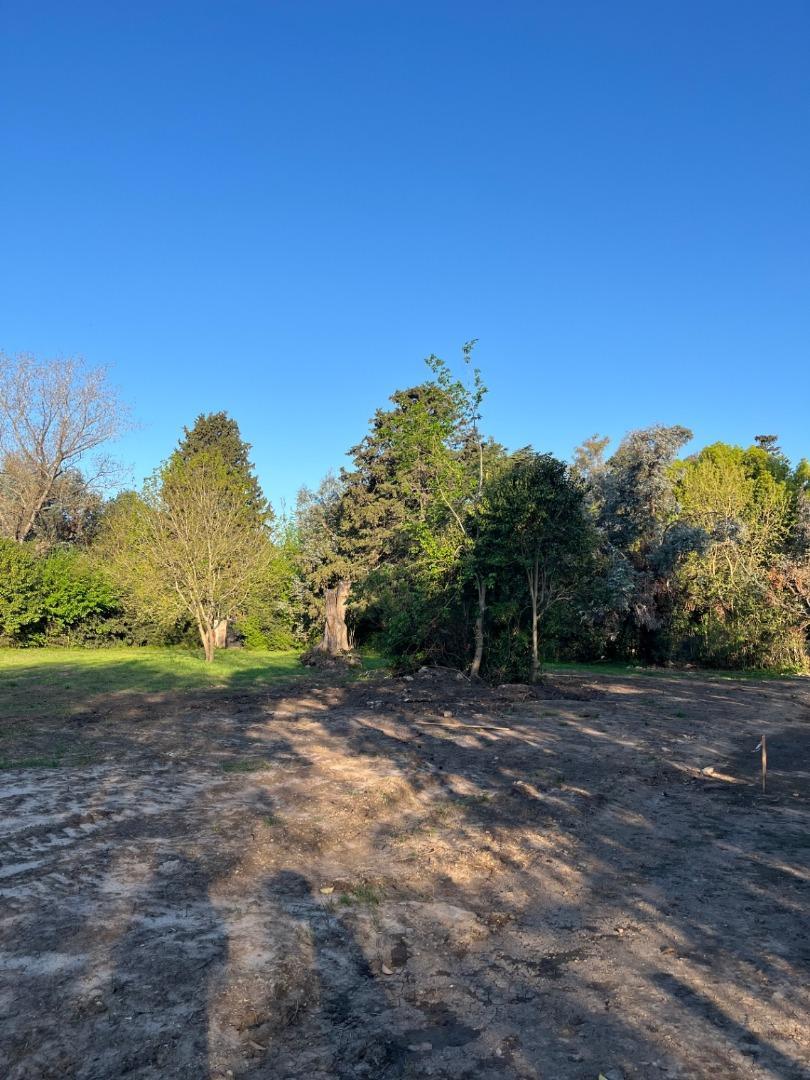 Santiago De Liniers 2764