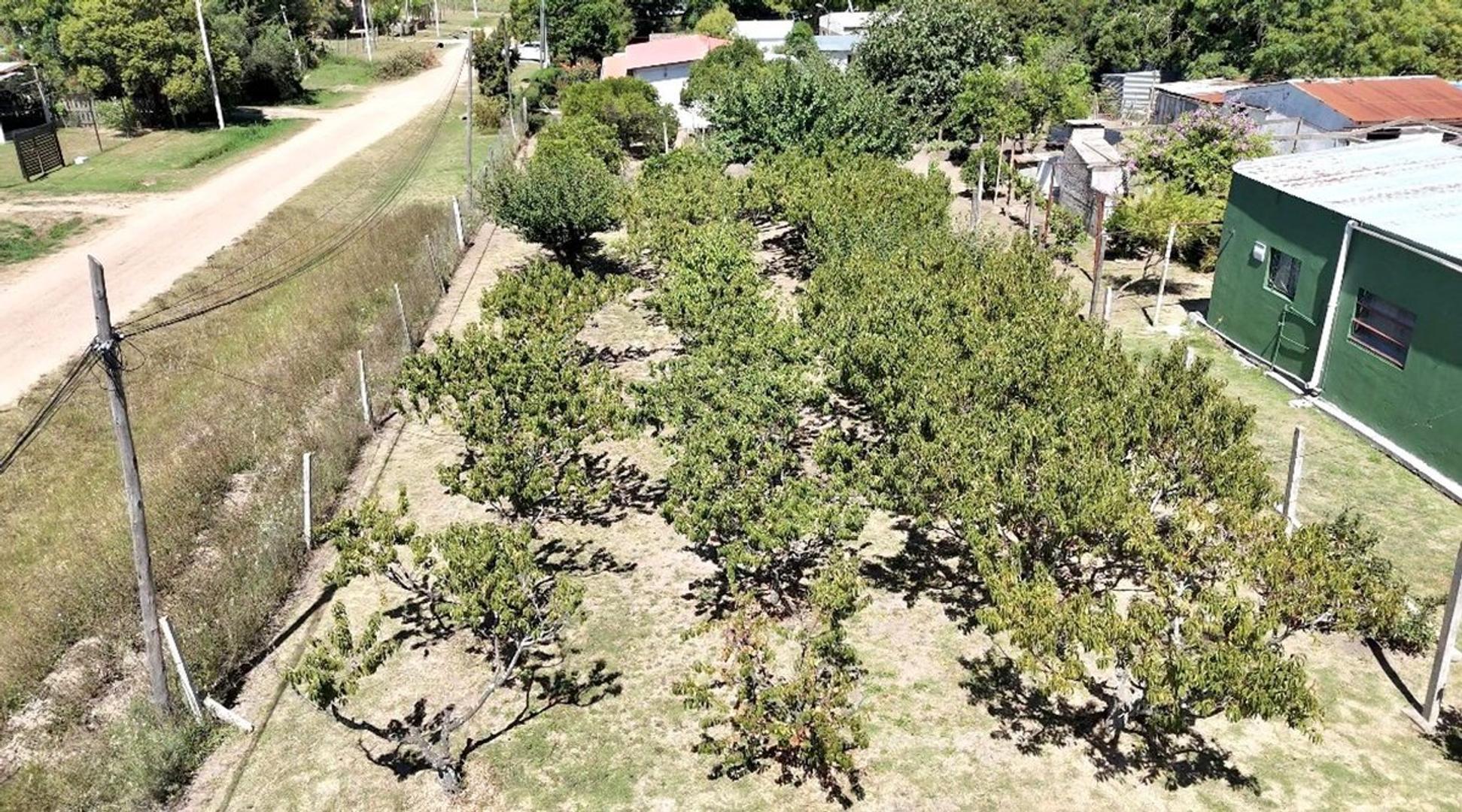 Terreno en Venta en Canelones, USD 39.000