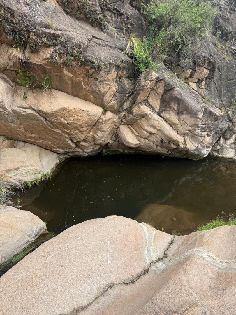 Hermosas dos casas con 2,3 hectáreas