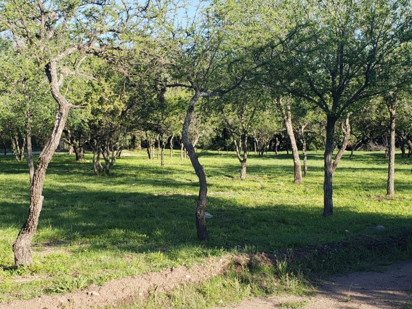 Terreno en Venta, FOT 40