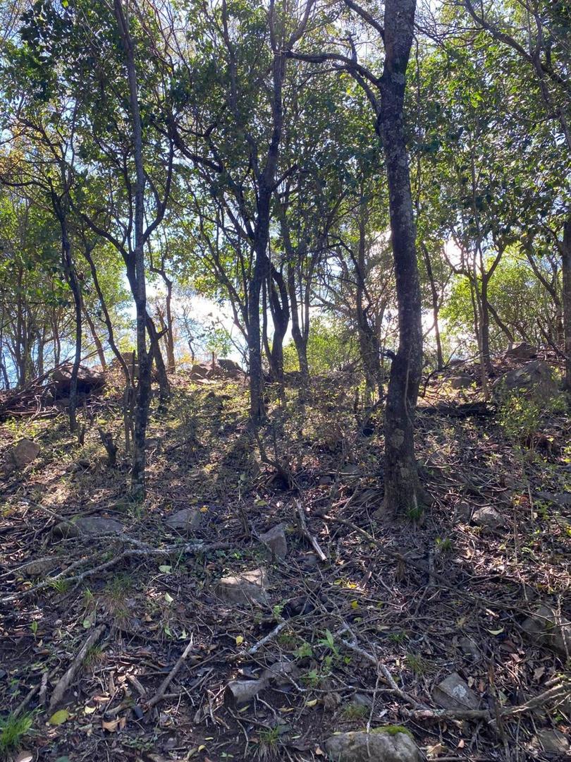 Terreno en Venta de 452,0 m2