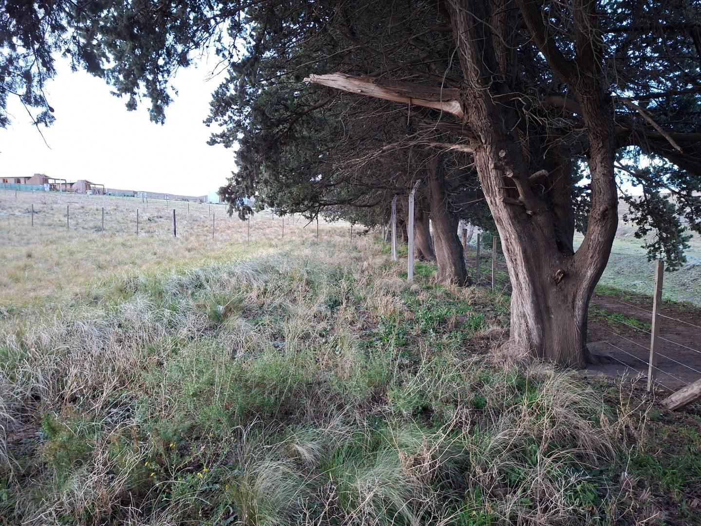 Lote Fondo Arbolado Al Arroyo El Negro 882 M2 Piscicultura