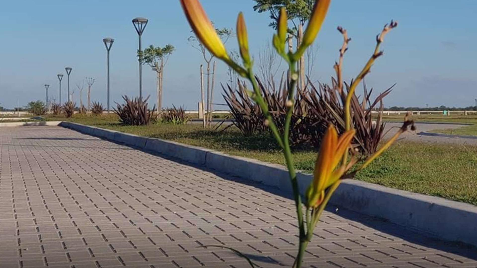 Garza, Ruta 58 Km 16.9, B1865 San Vicente, Provinc 100