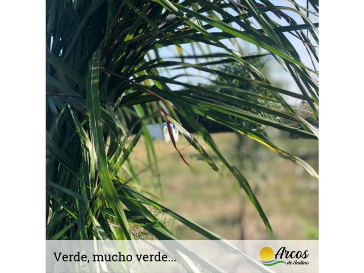 Terreno en Venta en Arcos de Andino - Posesión y Escritura inmediata