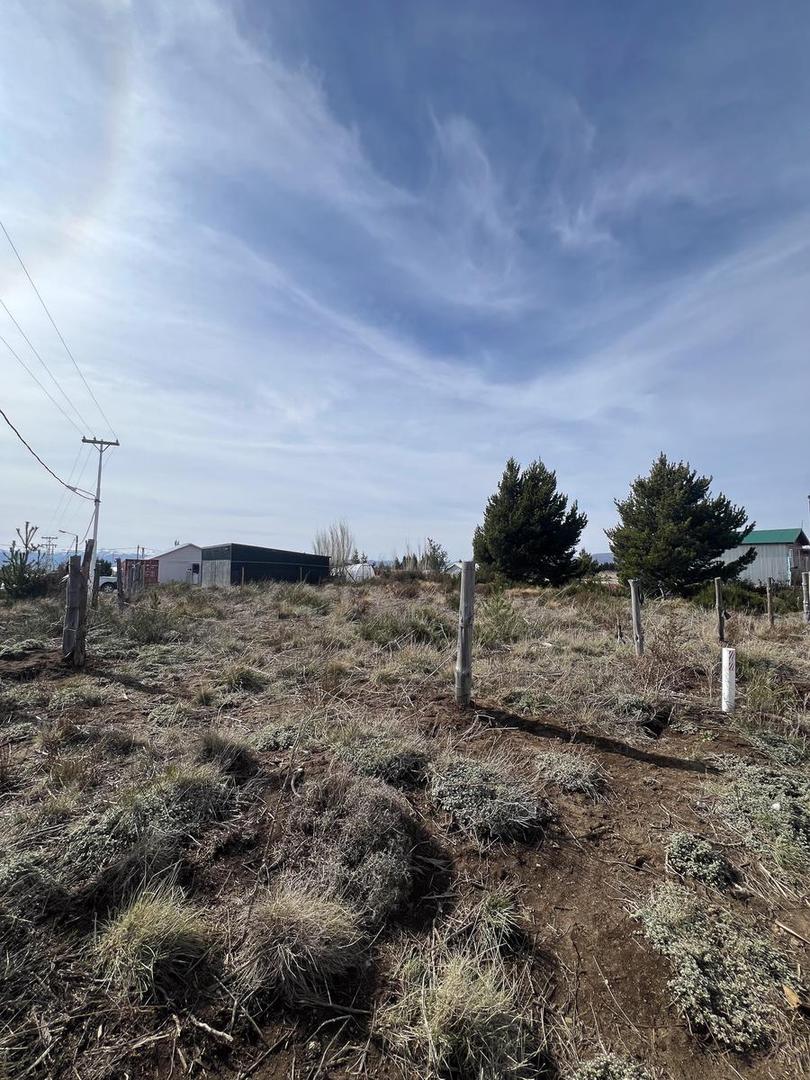 Combate de Acoyte 2974 Esquina