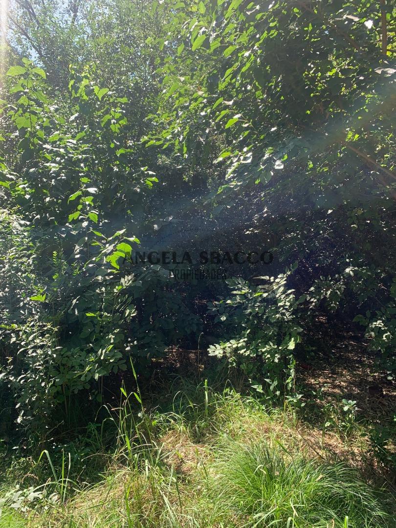 Terreno en Open Door  Centro.