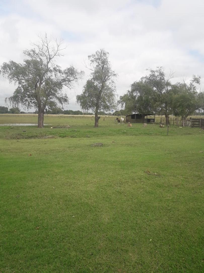 Terreno en Venta de 60000,0 m2