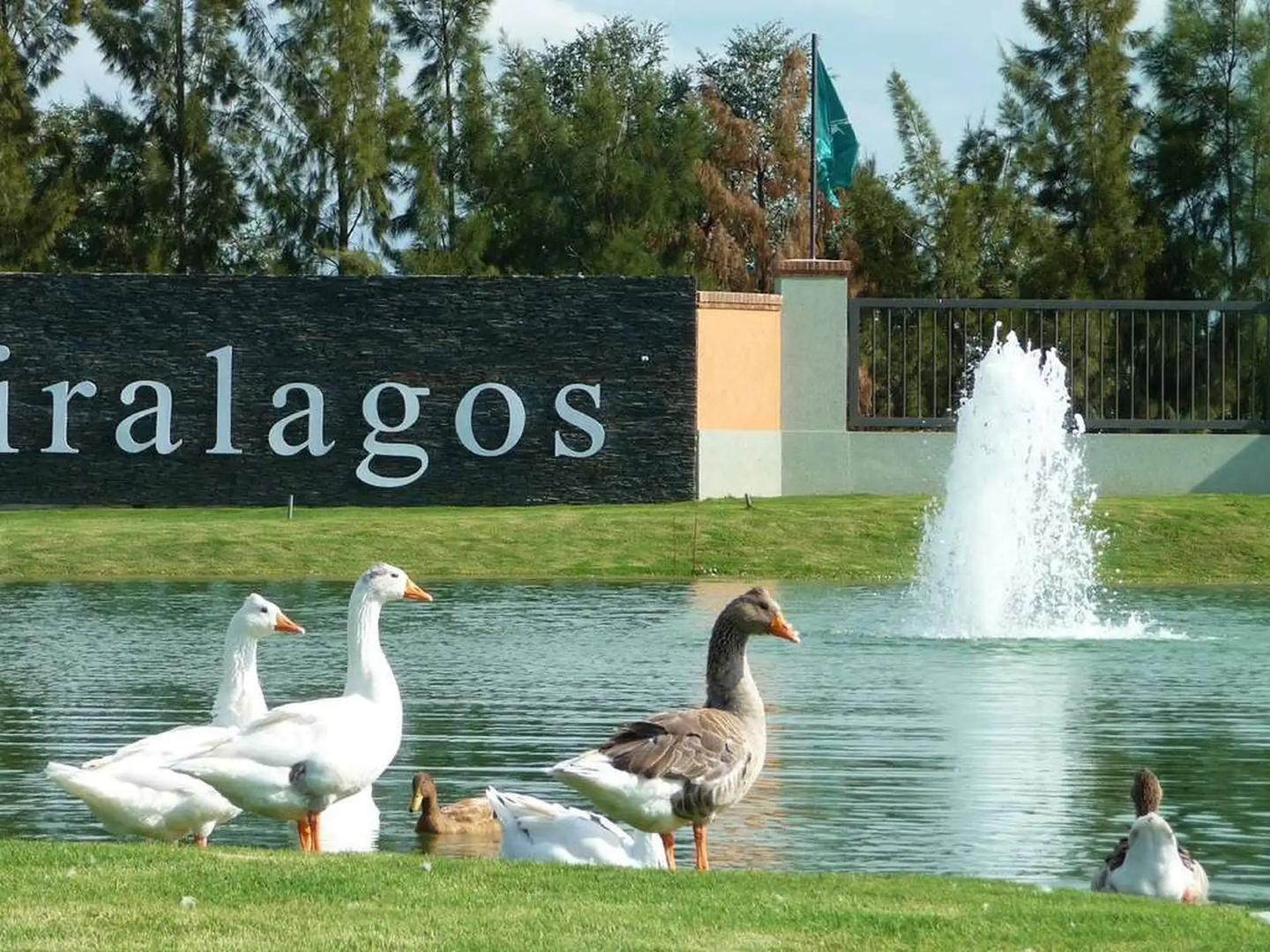 RUTA 2 - MIRALAGOS CCG&SPA  LOTE VISTA LAGO