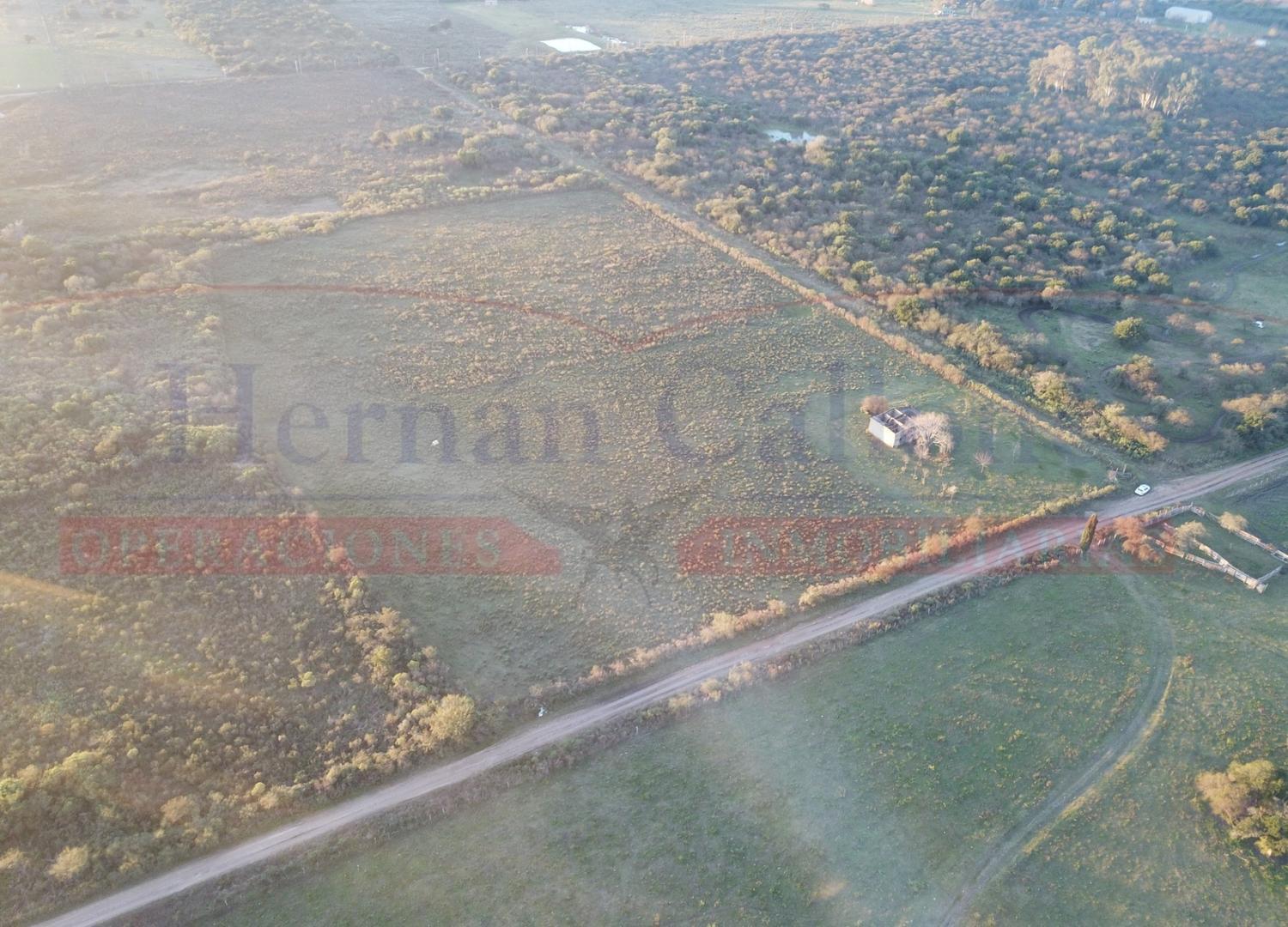 Campo de 4 Has en venta, Colón, Entre Ríos.