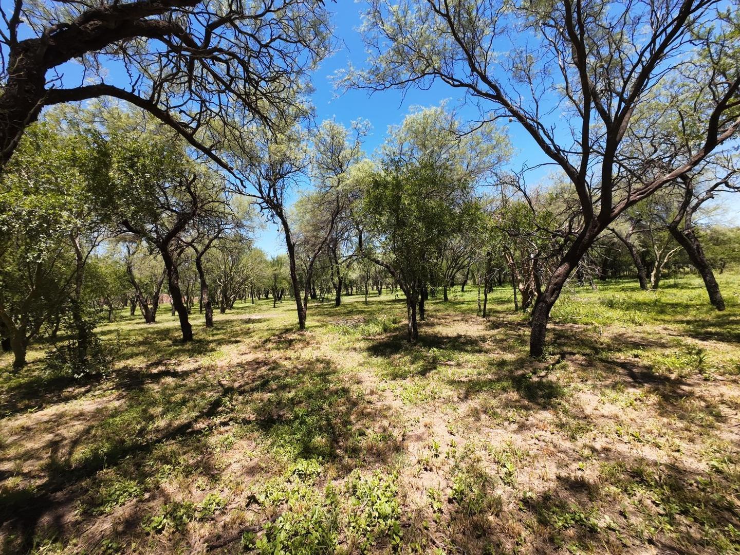 Terreno en Venta de 3000,0 m2