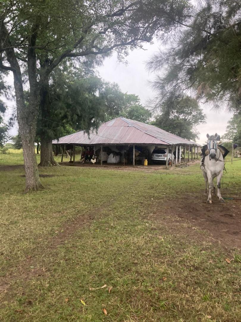 Campo Paraje Malvinas (Corrientes) - 949 has.