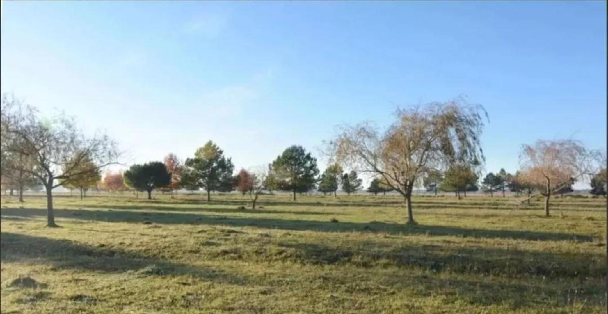 Terreno en Venta de 1000,0 m2