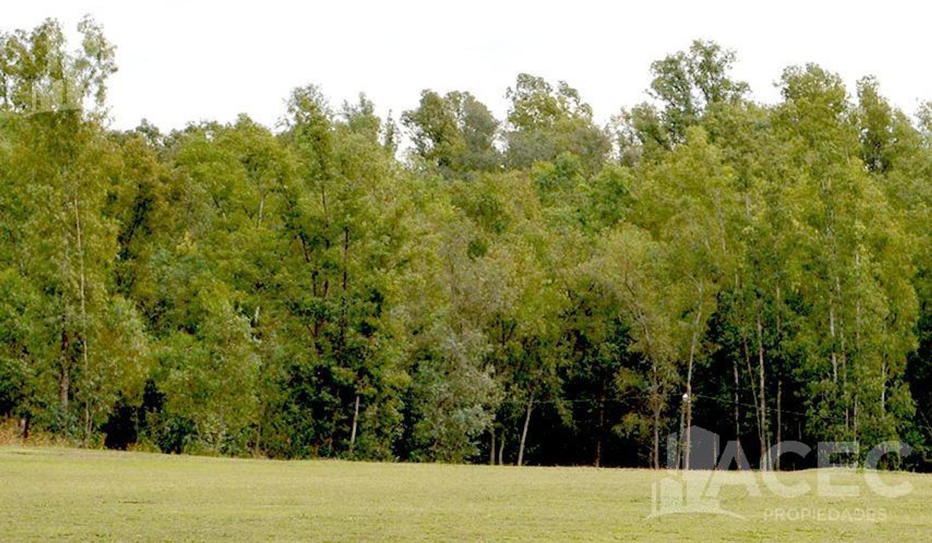 Terreno en Venta en Oliveros, USD 32.000