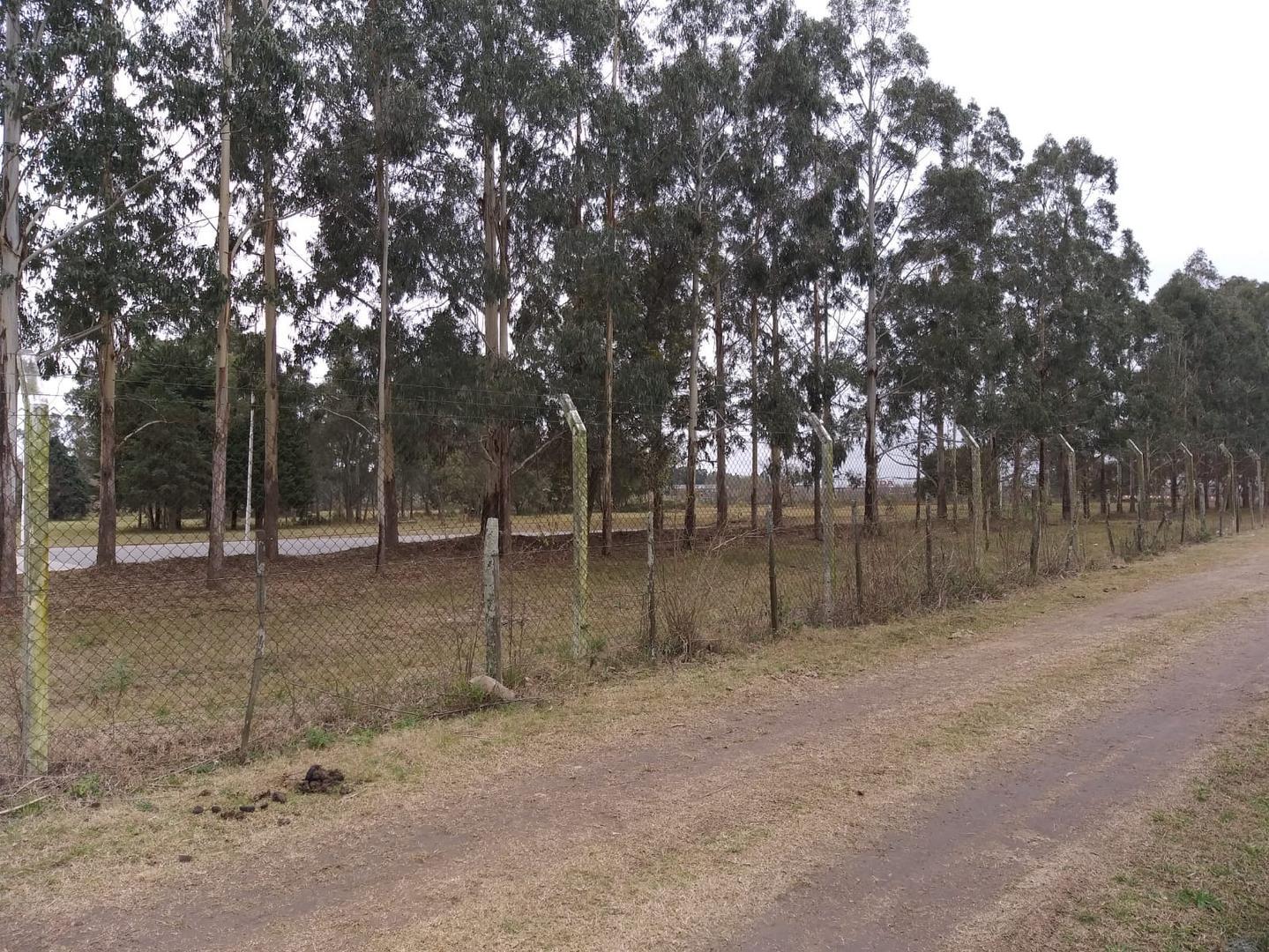 Ruta Provincial 6 195