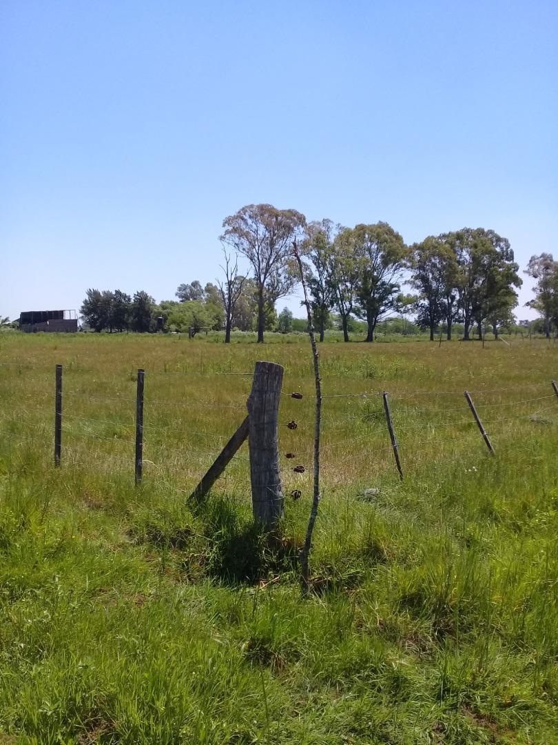 Gran lote cerca de la laguna de San Vicente