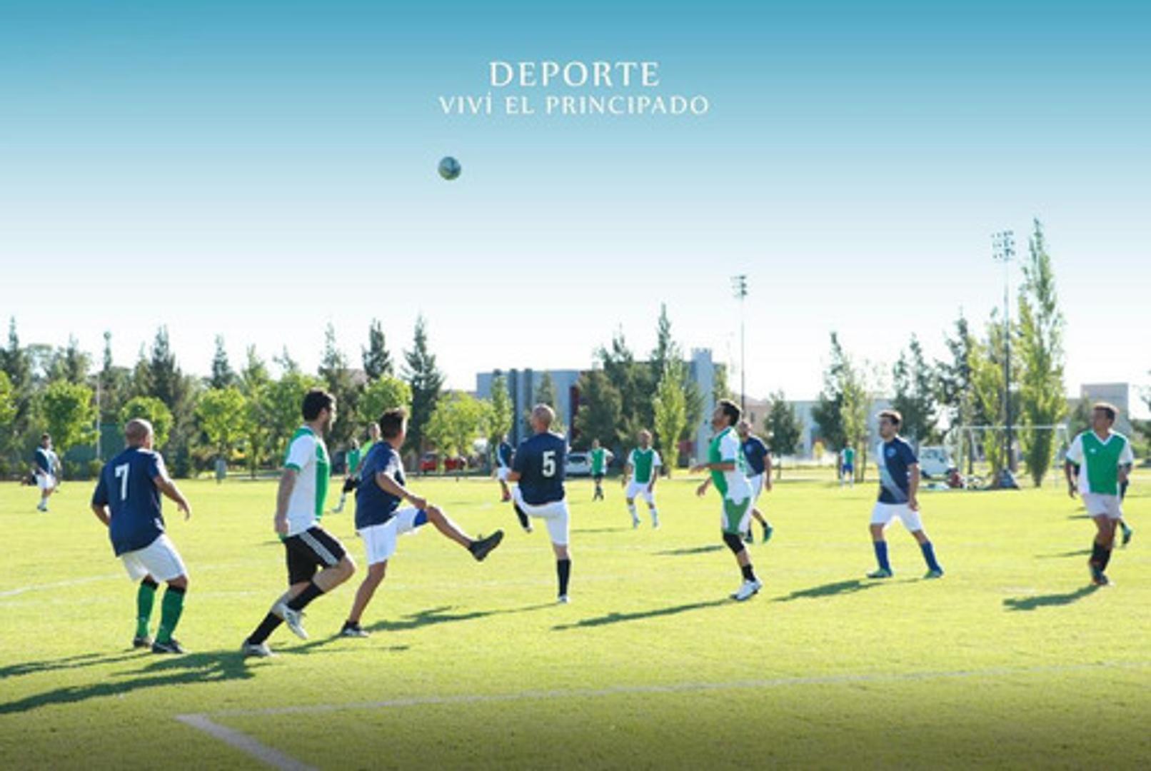 Terreno en Venta de 838,0 m2