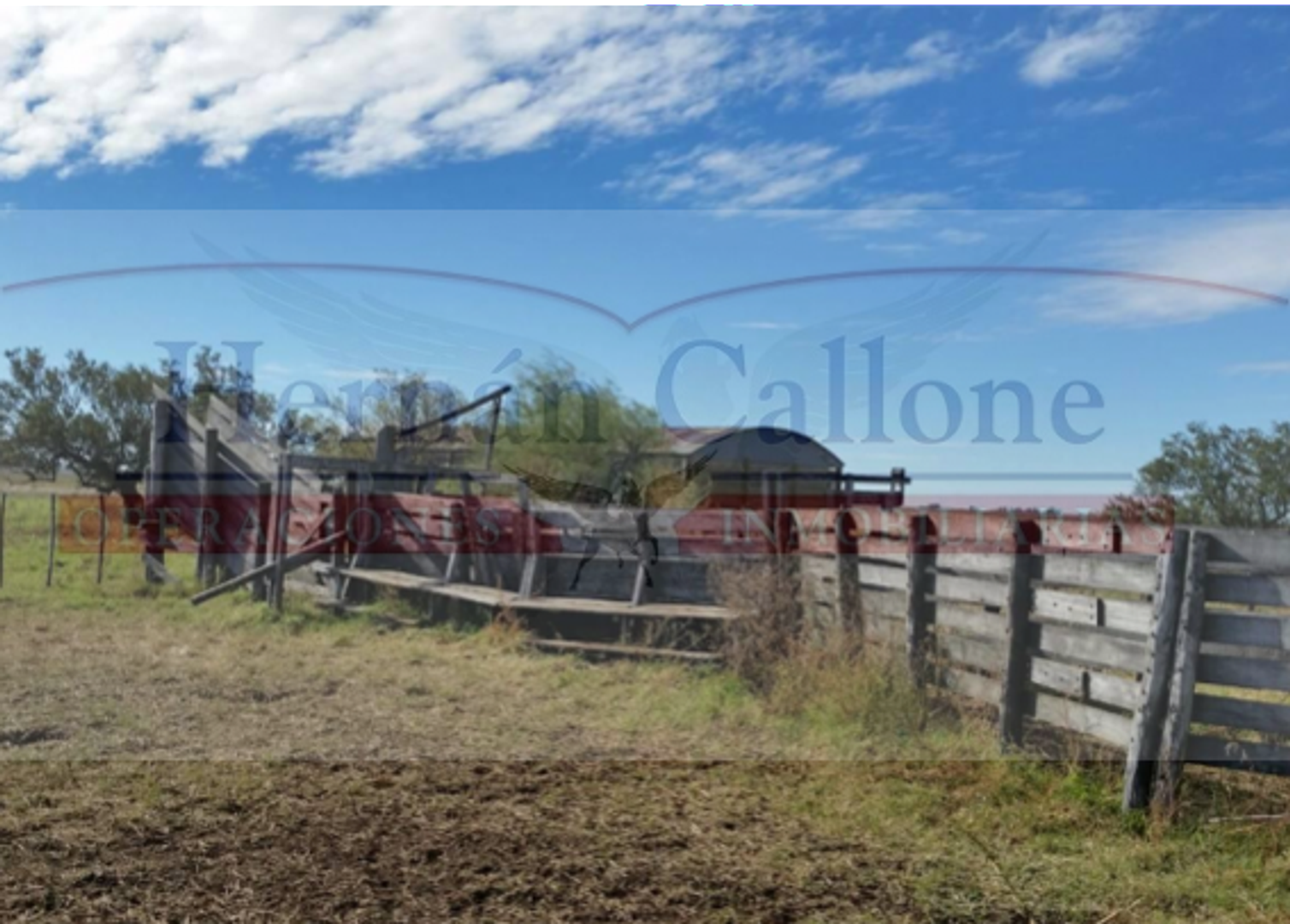 CAMPO DE 255 HAS. EN VENTA EN PEHUAJÓ