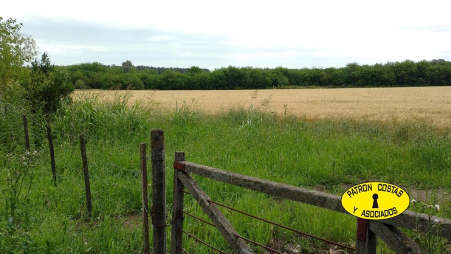 2324HP- venta campo lujan ruta 6