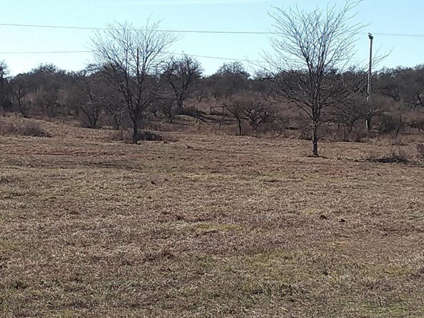 Ruta S523 Juan Pablo Segundo