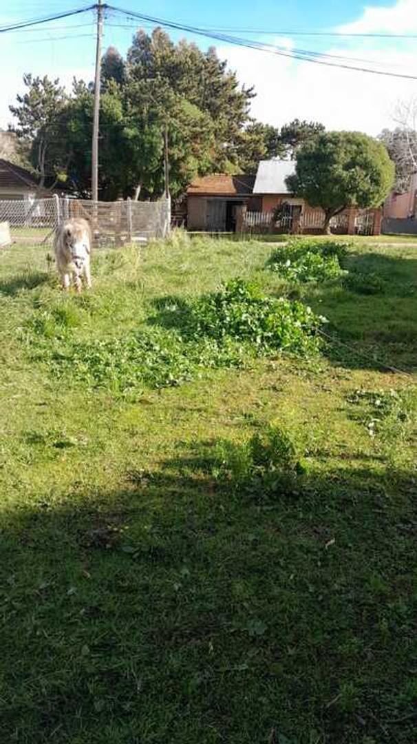 Terreno en Venta 27  mts Fondo