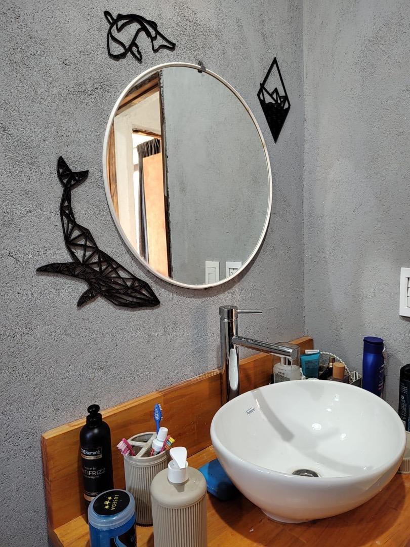 Estrella de mar 1094