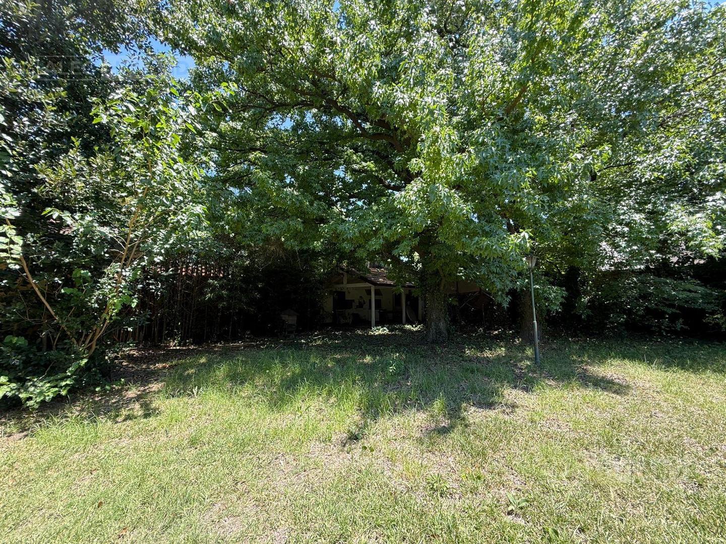 Terreno en Venta 51  mts Fondo