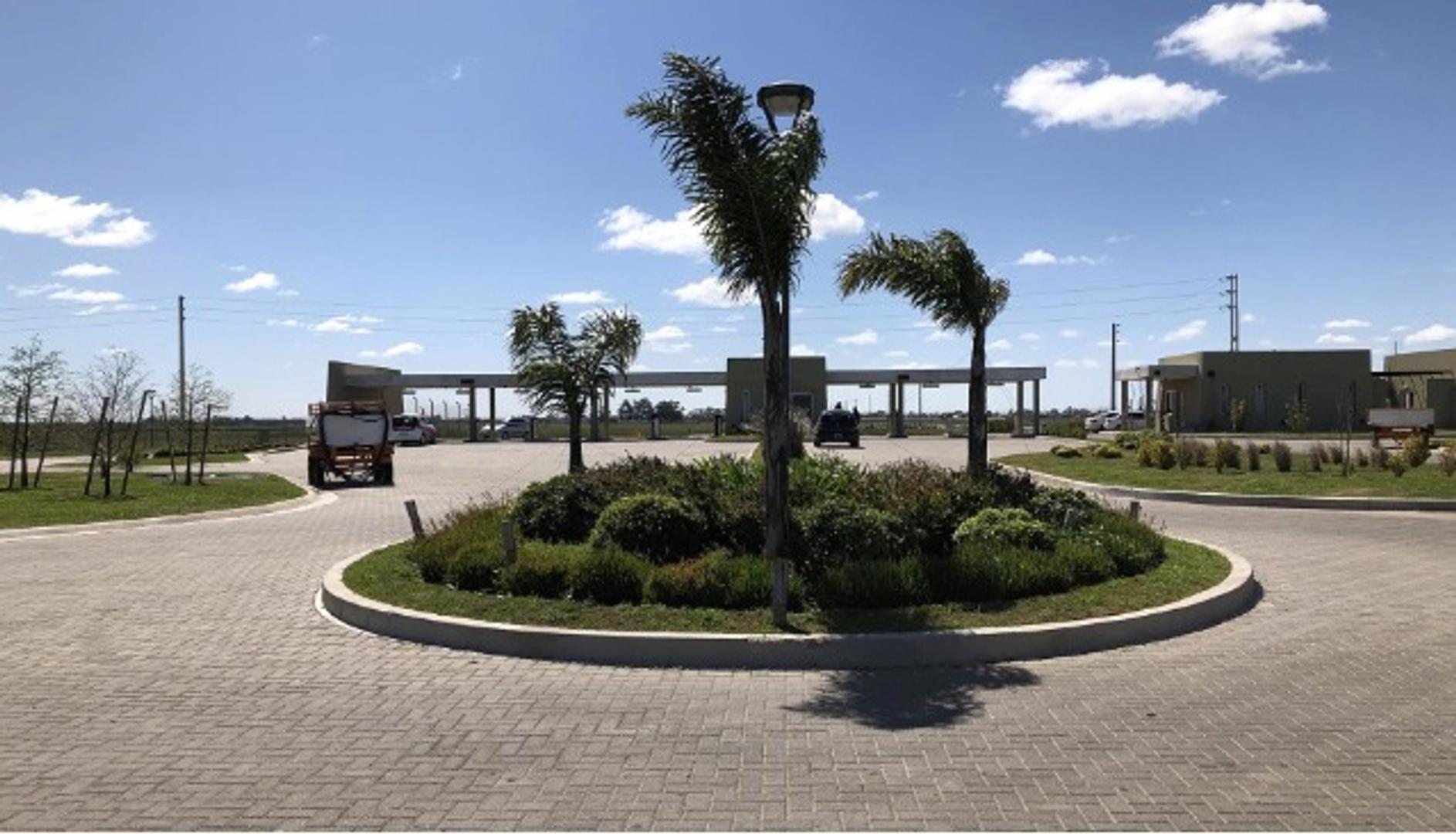 Santa Clara Al Sur San Vicente Canning