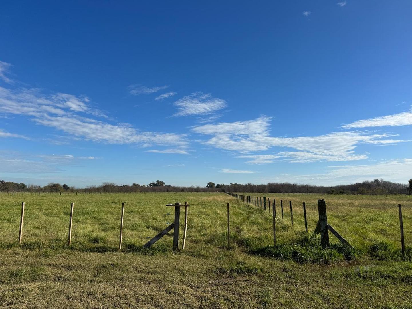 Terreno en Venta de 10000,0 m2