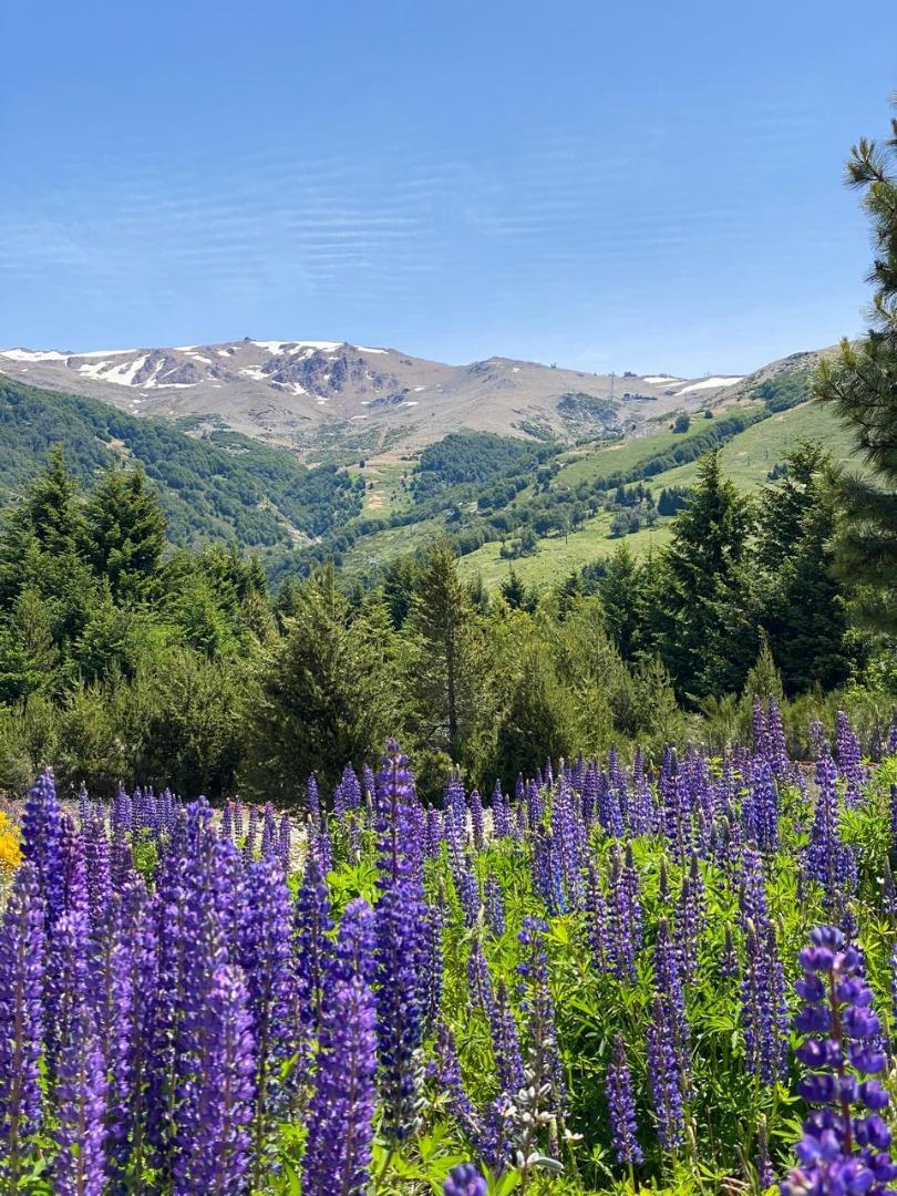 Departamento en Alquiler Temporal de 3 dormitorios