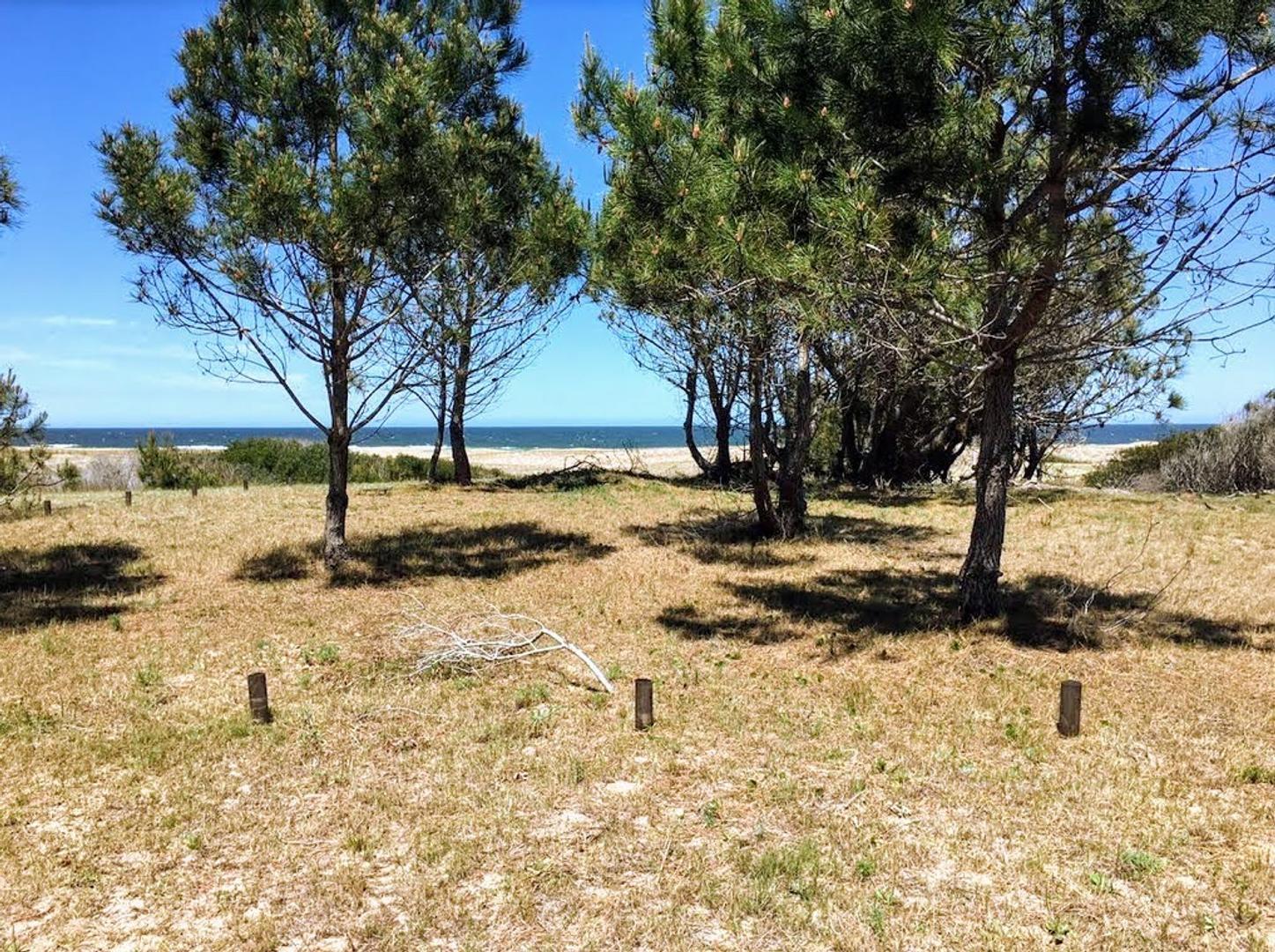 Terreno en Venta de 2600,0 m2