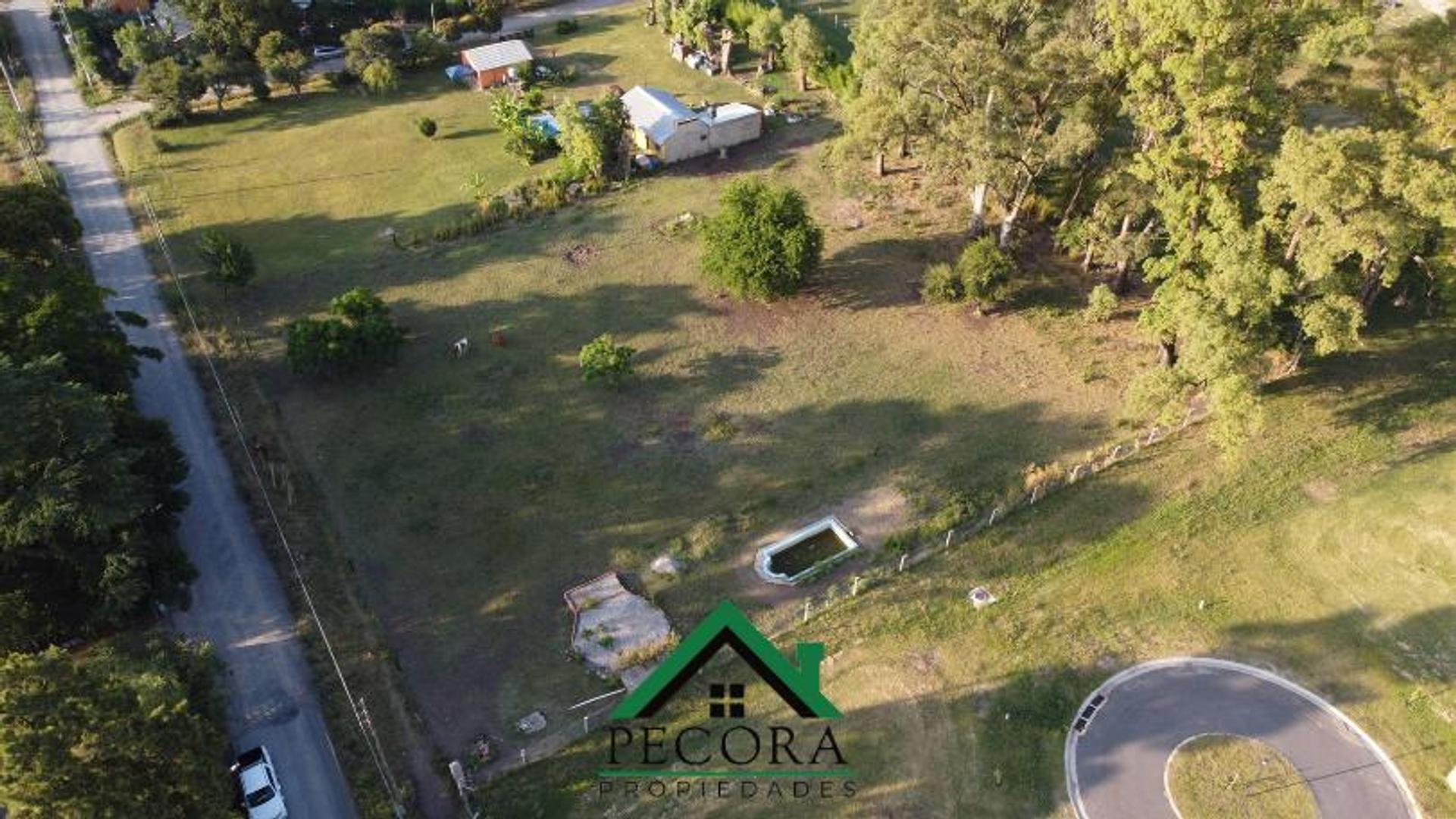 Terrenos - Pilar  - Tomas M de Anchorena