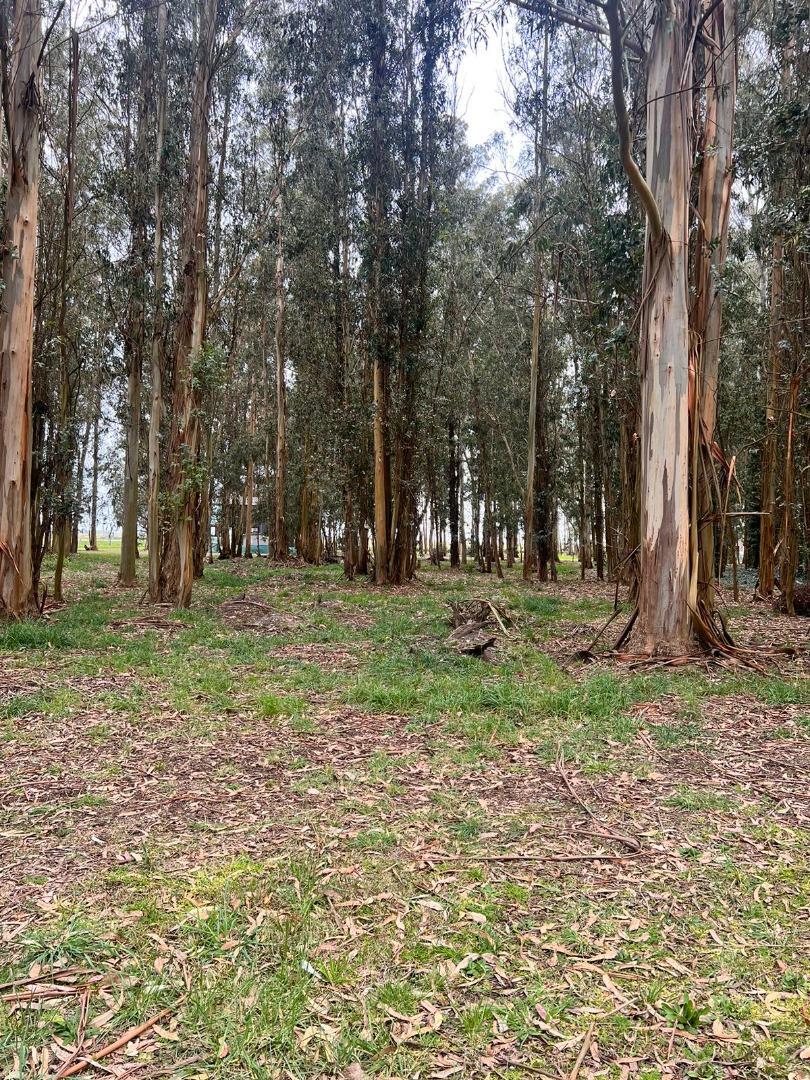 Terreno en Venta de 303,0 m2