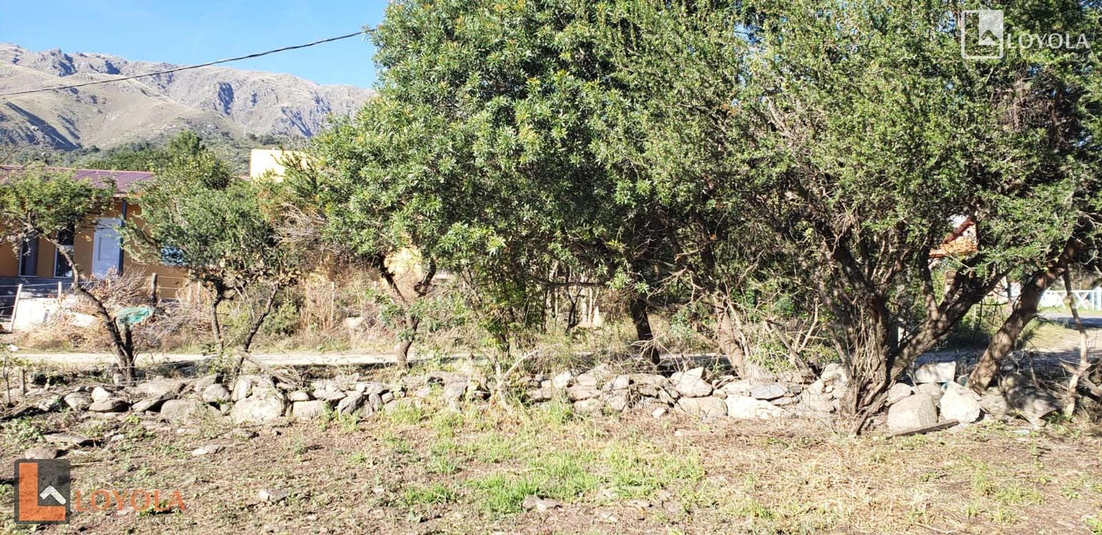 Terreno en Venta en Rincon Del Este, USD 75.000