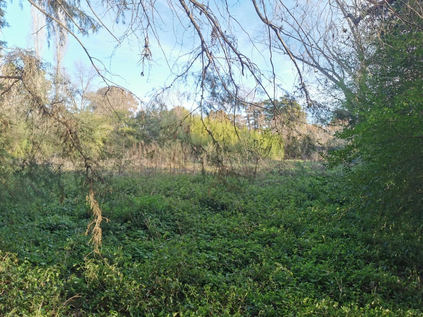 Terreno en Venta de 2015,0 m2