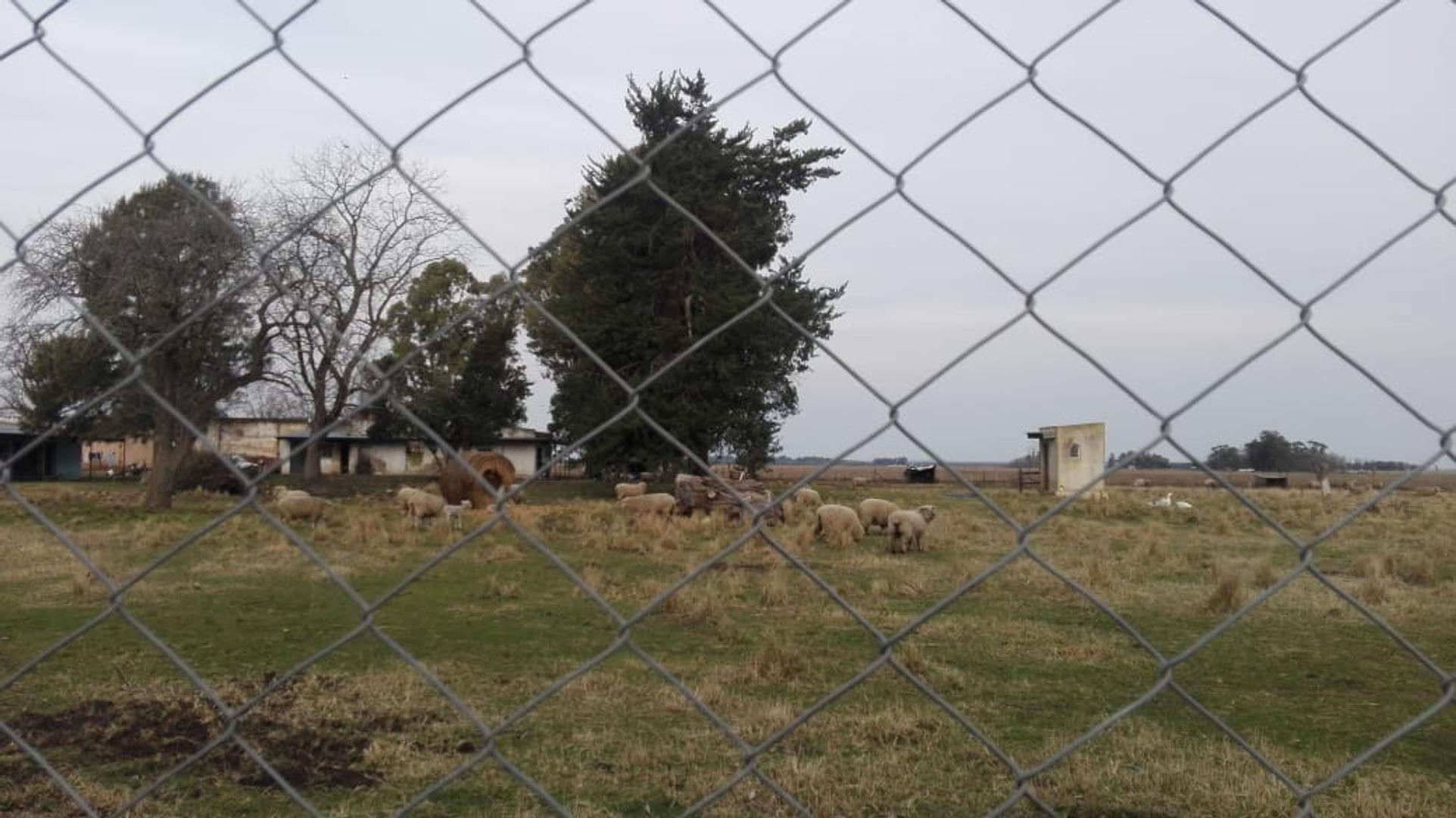 Quinta en Venta en Tandil, USD 119.000